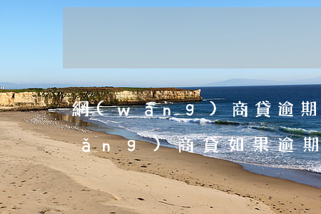 網(wǎng)商貸逾期影響車貸嗎(網(wǎng)商貸如果逾期了,會(huì)怎么樣)