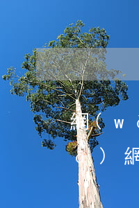網(wǎng)商貸逾期律師函多久發(fā)(網(wǎng)商貸逾期3個月發(fā)來催收函會起訴我嗎?)