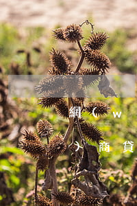 網(wǎng)商貸逾期律師(網(wǎng)商貸逾期律師事務(wù)所說走法律程序)
