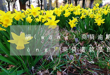 網(wǎng)商貸逾期從余額扣款(網(wǎng)商貸還款是自動(dòng)扣款嗎)