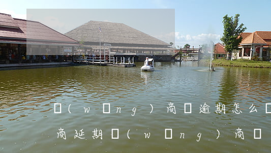 網(wǎng)商貸逾期怎么協(xié)商延期(網(wǎng)商貸可以協(xié)商延期還款嗎)