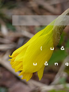 網(wǎng)商貸逾期怎么才能免減(網(wǎng)商貸逾期怎么才能免減)