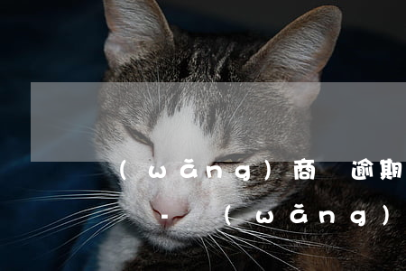 網(wǎng)商貸逾期怎么沒客服打電話過來-網(wǎng)商貸逾期怎么沒客服打電話過來了