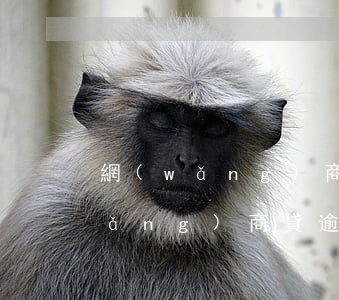 網(wǎng)商貸逾期怎五天還了(網(wǎng)商貸逾期5天后還款要多久才能再用)
