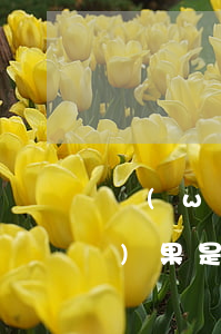 網(wǎng)商貸逾期最壞的結(jié)果是啥(網(wǎng)商貸逾期最壞的結(jié)果是啥呢)