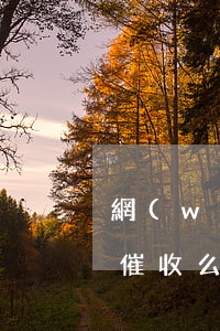 網(wǎng)商貸逾期會(huì)上門催收么(網(wǎng)商貸逾期會(huì)上門催收么)