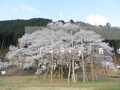 網(wǎng)商貸逾期會(huì)坐飛機(jī)嗎(網(wǎng)商貸如果逾期了,會(huì)怎么樣)