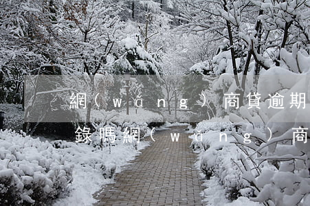 網(wǎng)商貸逾期會(huì)爆通錄嗎(網(wǎng)商貸如果逾期了,會(huì)怎么樣)