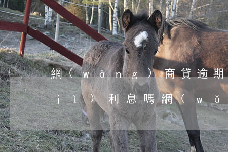網(wǎng)商貸逾期會(huì)計(jì)利息嗎(網(wǎng)商貸逾期會(huì)計(jì)利息嗎)