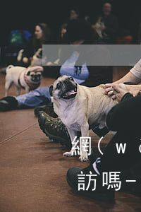 網(wǎng)商貸逾期會去戶籍所在地走訪嗎-網(wǎng)商貸逾期會去戶籍所在地走訪嗎知乎