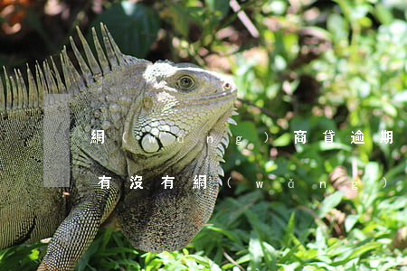 網(wǎng)商貸逾期會在哪里起訴離婚 有沒有網(wǎng)商貸逾期一年多,說要起訴的