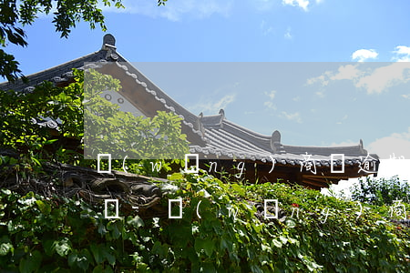 網(wǎng)商貸逾期 會影響自己的征信嗎-網(wǎng)商貸逾期 會影響自己的征信嗎知乎