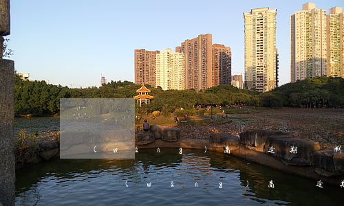 網(wǎng)商貸逾期,會影響自己的征信嗎，網(wǎng)商貸逾期會否影響個(gè)人征信？你需要了解的真相