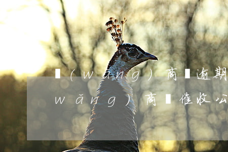 網(wǎng)商貸逾期會暴力催收么(網(wǎng)商貸催收公司威脅)