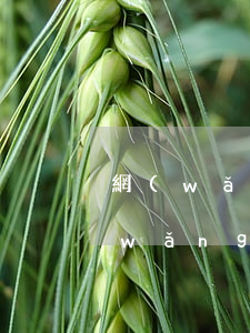 網(wǎng)商貸逾期會讓還全款嗎(網(wǎng)商貸有逾期還了還可以貸款嗎?)