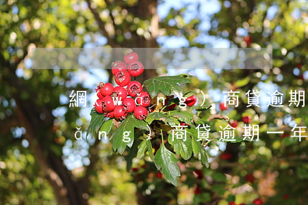 網(wǎng)商貸逾期有什么影響(網(wǎng)商貸逾期一年以上)