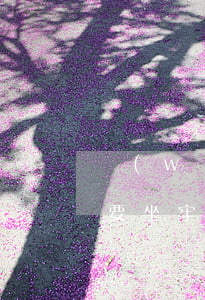 網(wǎng)商貸逾期欠十萬(wàn)要坐牢(網(wǎng)商貸12萬(wàn)逾期會(huì)被起訴嗎)