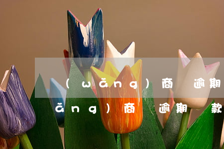 網(wǎng)商貸逾期欠款降低了(網(wǎng)商貸逾期還款的后果,真是坑到你無(wú)法想象)