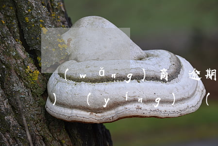 網(wǎng)商貸逾期正在試運(yùn)營(yíng)(網(wǎng)商貸無緣無故被關(guān)閉)