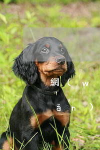 網(wǎng)商貸逾期每天還一點(diǎn)會(huì)起訴嗎(網(wǎng)商貸逾期一個(gè)多月說(shuō)要起訴)