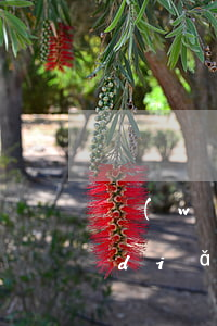 網(wǎng)商貸逾期每天都有還一點(diǎn)可以嗎-網(wǎng)商貸逾期每天都有還一點(diǎn)可以嗎安全嗎