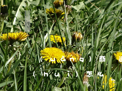 網(wǎng)商貸逾期沒(méi)還會(huì)怎么樣(網(wǎng)商貸逾期還款的后果,真是坑到你無(wú)法想象)