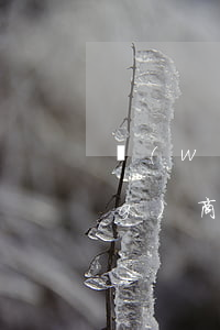 網(wǎng)商貸逾期犯法么 網(wǎng)商貸逾期還款的后果,真是坑到你無法想象