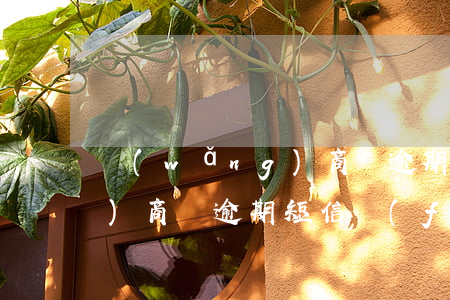 網(wǎng)商貸逾期申訴（網(wǎng)商貸逾期短信風(fēng)險(xiǎn)通知）