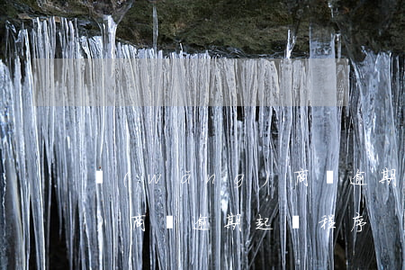 網(wǎng)商貸逾期申訴（網(wǎng)商貸逾期起訴程序）