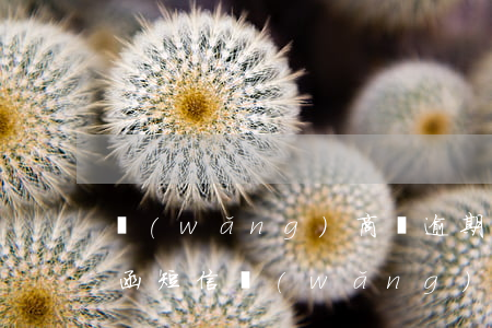 網(wǎng)商貸逾期發(fā)了律師函短信(網(wǎng)商貸逾期說寄律師函后需要做什么)