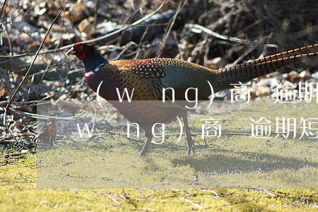 網(wǎng)商貸逾期短信圖片，曝光：網(wǎng)商貸逾期短信的驚人內(nèi)容！