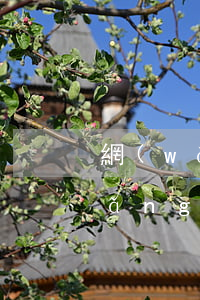 網(wǎng)商貸逾期罰息怎么算(網(wǎng)商貸怎么申請(qǐng)減免罰息)