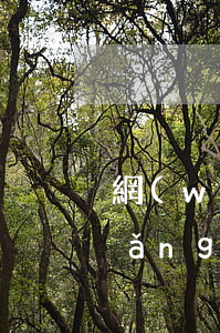 網(wǎng)商貸逾期罰息是多少(網(wǎng)商貸罰息可以申請免除嗎)