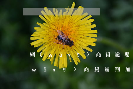 網(wǎng)商貸逾期罰息超過收入(網(wǎng)商貸逾期加罰息比本金還高)