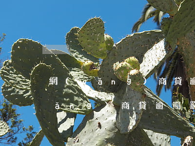 網(wǎng)商貸逾期罰款合理嗎(網(wǎng)商貸逾期罰款合理嗎)