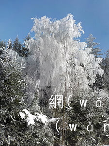 網(wǎng)商貸逾期能辦信用卡嗎(有網(wǎng)貸逾期可以辦理信用卡嗎)