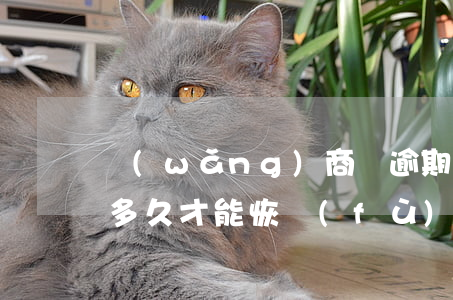 網(wǎng)商貸逾期花唄被暫停使用要多久才能恢復(fù)-網(wǎng)商貸欠6萬逾期三年