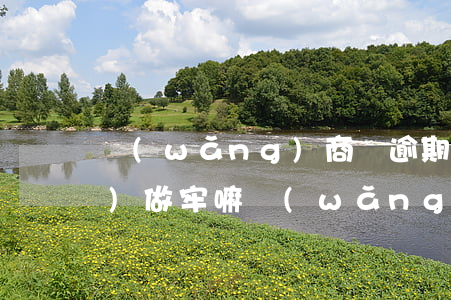 網(wǎng)商貸逾期被起訴會(huì)做牢嘛 網(wǎng)商貸逾期被起訴后能有解決的辦法嗎