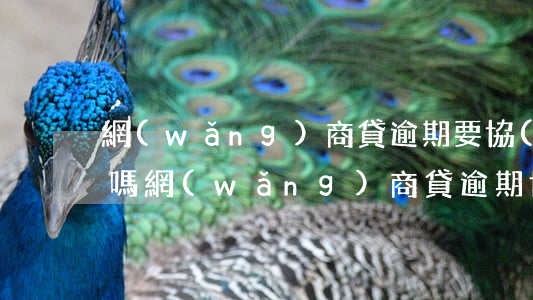 網(wǎng)商貸逾期要協(xié)商嗎(網(wǎng)商貸逾期協(xié)商還款不同意會被起訴嗎)