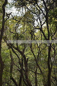 網(wǎng)商貸逾期記錄怎么查(網(wǎng)商貸查不到貸款記錄)