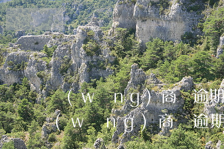 網(wǎng)商貸逾期說來家訪怎么辦(網(wǎng)商貸逾期說來家訪怎么辦呢)