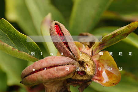網(wǎng)商貸逾期起訴信息(網(wǎng)商貸逾期申訴)