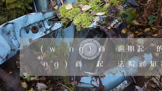 網(wǎng)商貸逾期起訴的程序(網(wǎng)商貸起訴法院通知我已立案)