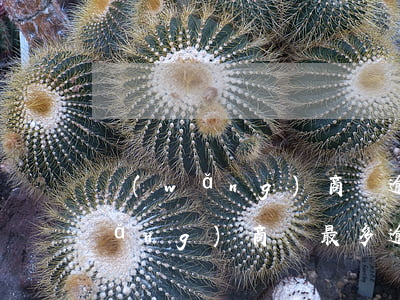 網(wǎng)商貸逾期超過90天(網(wǎng)商貸最多逾期多少天)