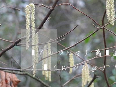 網(wǎng)商貸逾期過怎么恢復(fù)(網(wǎng)商貸逾期還款的后果,真是坑到你無法想象)