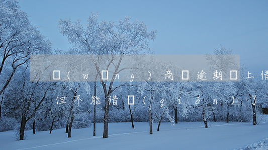 網(wǎng)商貸逾期還上借唄顯示額度但不能借錢(qián)了怎么辦（支付寶借唄顯示有網(wǎng)商貸逾期）