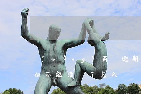 網(wǎng)商貸逾期還上借唄顯示額度但不能借錢了怎么辦（網(wǎng)商貸逾期了借唄借不了）