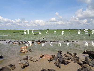 網(wǎng)商貸逾期還上還會被起訴嗎 網(wǎng)商貸逾期后每個月還一點會被起訴嗎