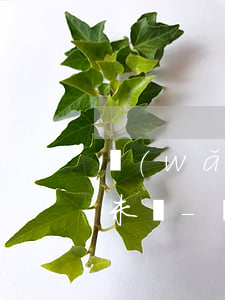 網(wǎng)商貸逾期還了之后還是顯示未還-網(wǎng)商貸逾期后怎么還款沒有了