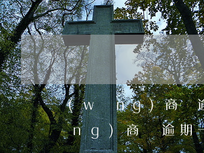 網(wǎng)商貸逾期還完能借嗎(網(wǎng)商貸逾期一個(gè)月后,還上后還能借嗎)